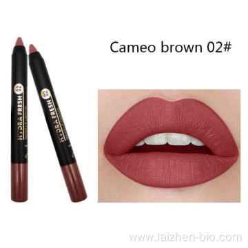 Custom makeup lipstick pen matte waterproof cosmetics